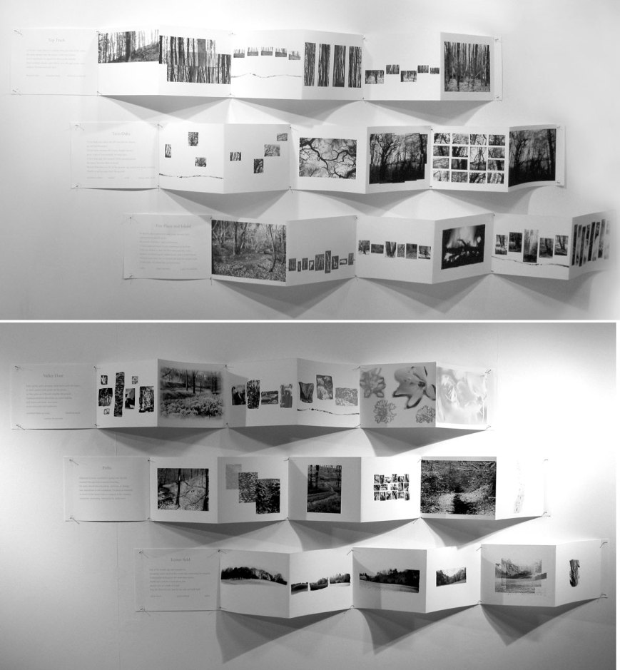 Exhibited-layout